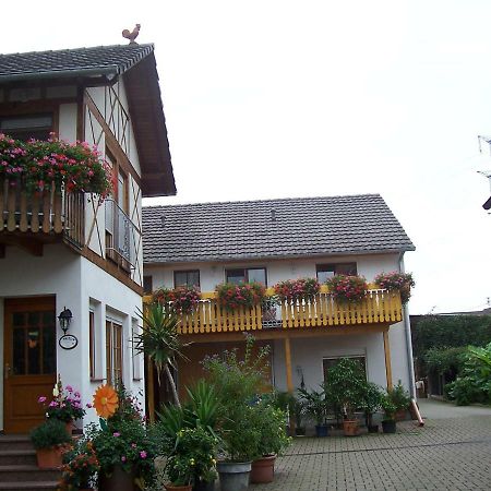 Meyerhof Apartment Wittenweier ภายนอก รูปภาพ